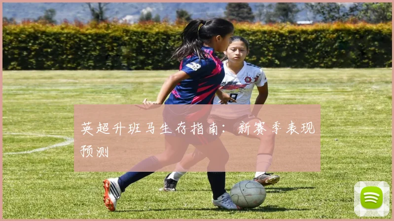英超升班马生存指南：新赛季表现预测