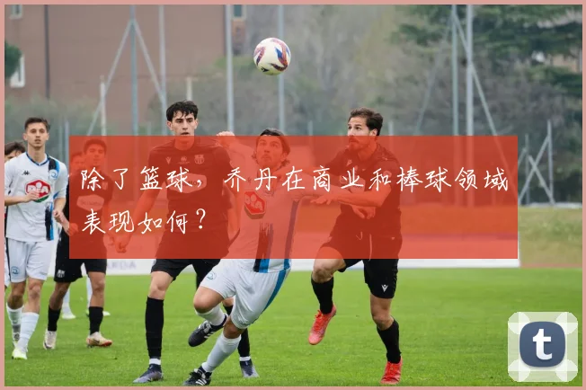 除了篮球，乔丹在商业和棒球领域表现如何？