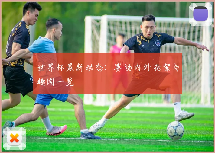 世界杯最新动态：赛场内外花絮与趣闻一览